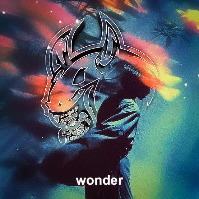 wonder.png