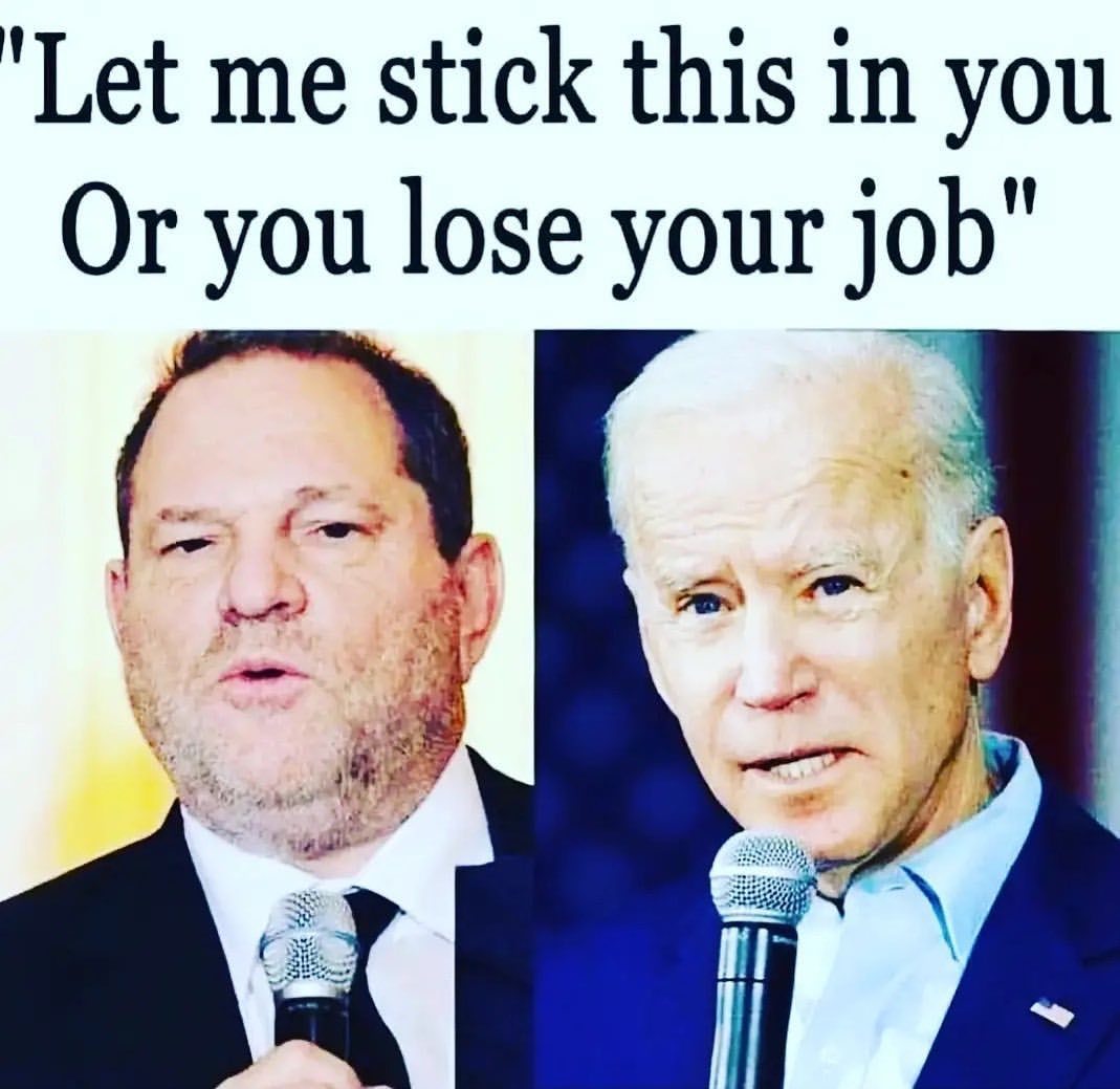 https://i.ibb.co/p6FdynPK/11v.jpg