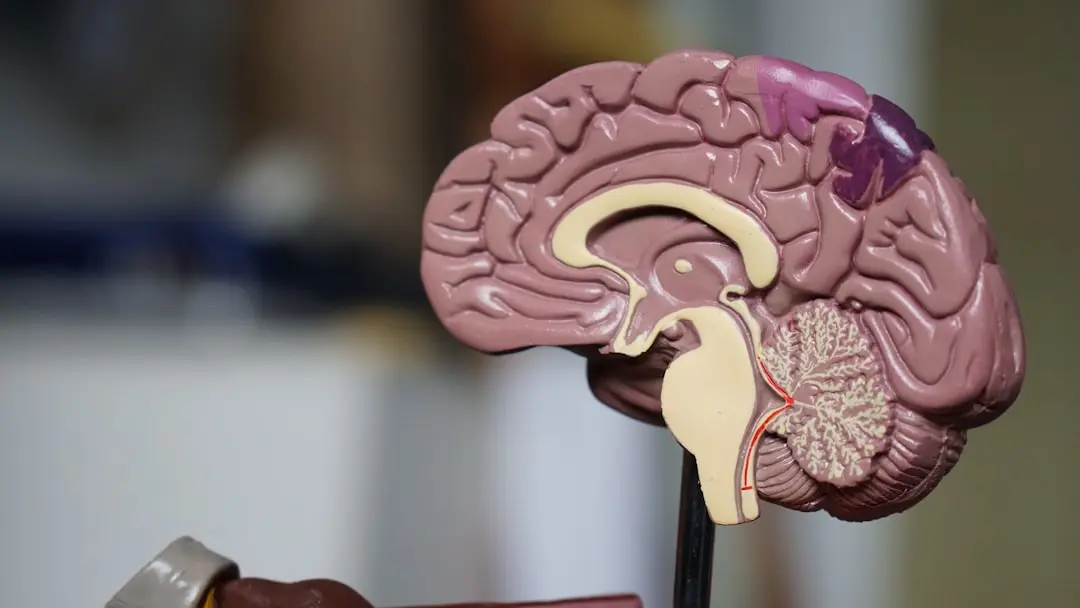 Understanding Brain Strokes and Urgent Care