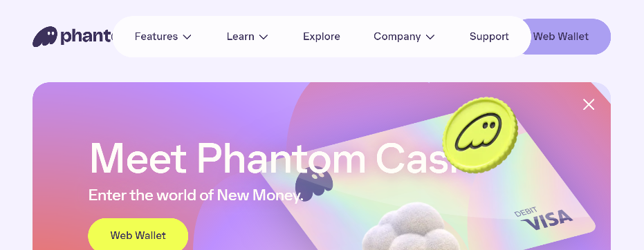Forensic screenshot of [REDACTED] showing the phishing page layout