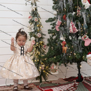 IMG 4385