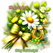 Alexandra 90ºAv