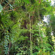 89