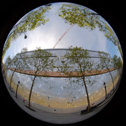 DSCF9115