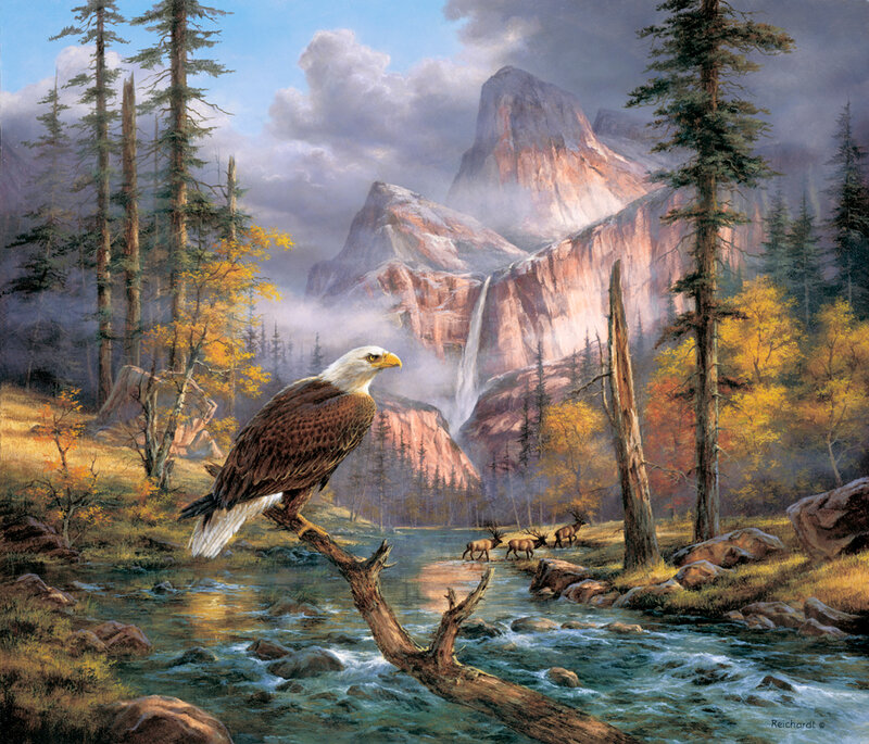 Eagles Perch