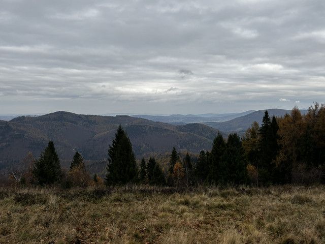 IMG 6279.jpg