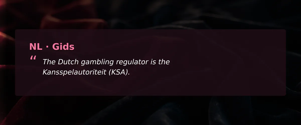 De koers bepalen in het nederlandse online casino speelveld — Gids