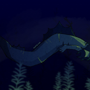 long fish