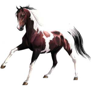 100008078-normal.png
