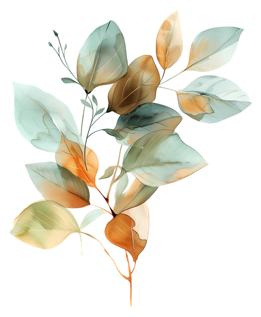 d9e984a59acb6c88bf7173f61f072c35.png