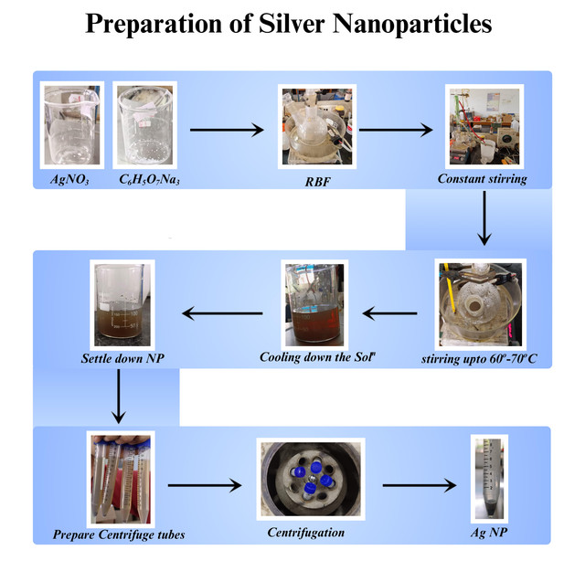 Silver Nanoparticle Synthesis