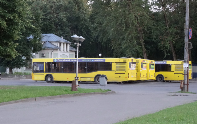 DSC06704-5.jpg