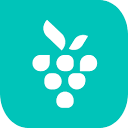 Berrycast logo