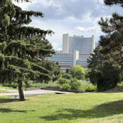 IMG 5706