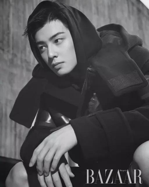 cha eun woo 1246946