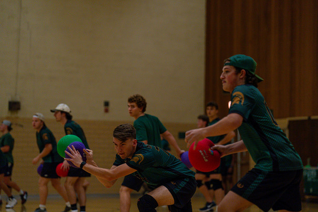 DSC04843.jpg