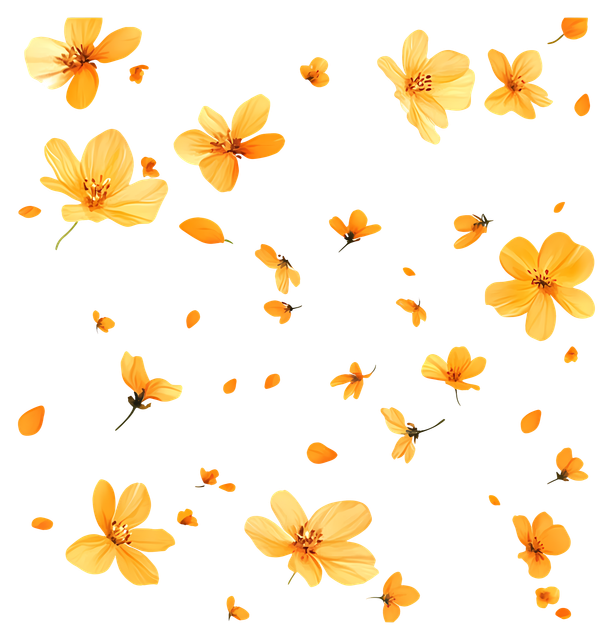 8899a8b5144aa7f33d888ea4e10a34c6.png