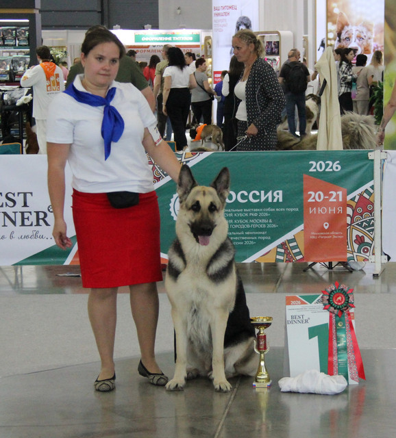 https://i.ibb.co/p6r82S89/IMG-3948.jpg