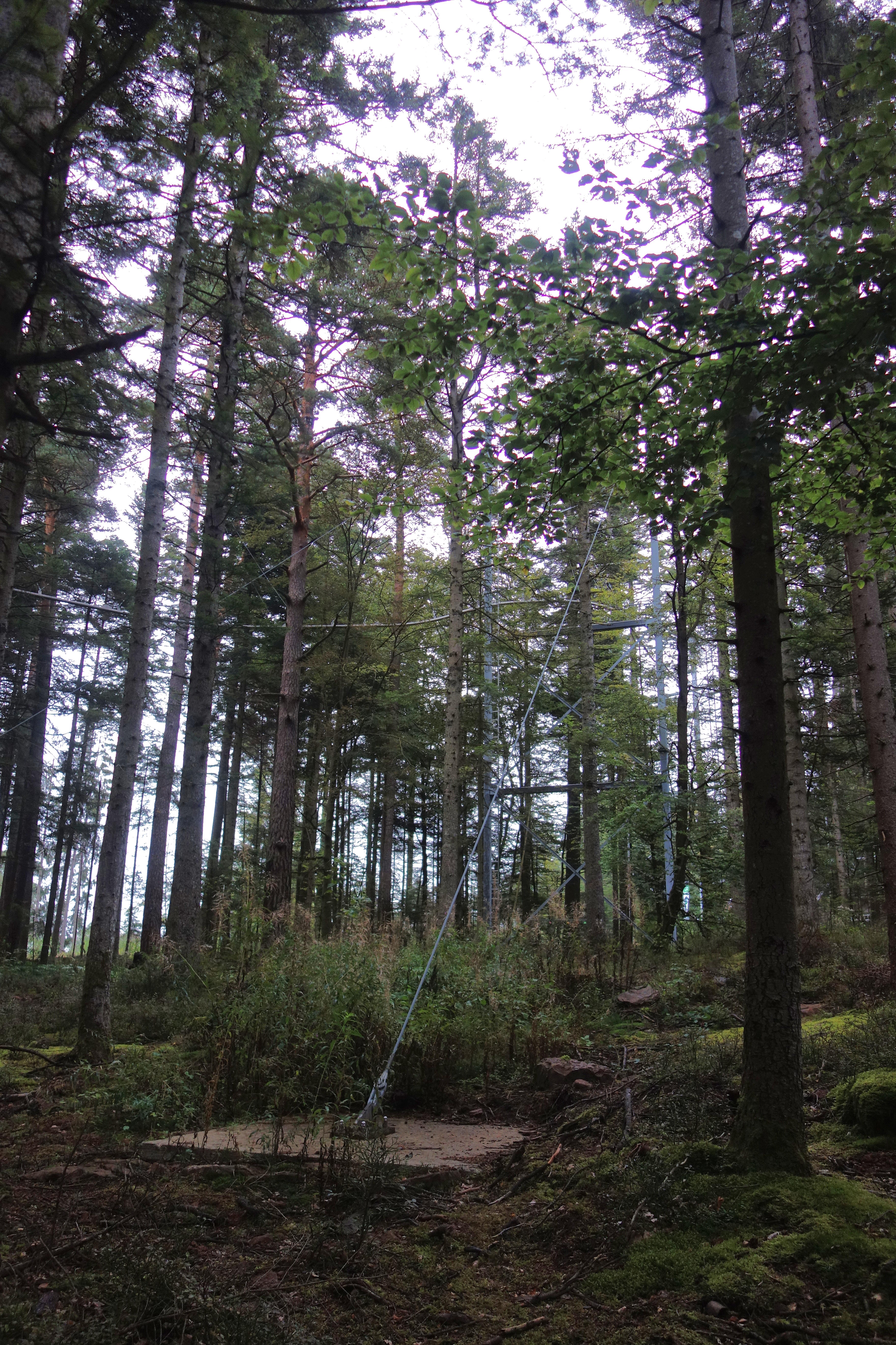 DSC09028