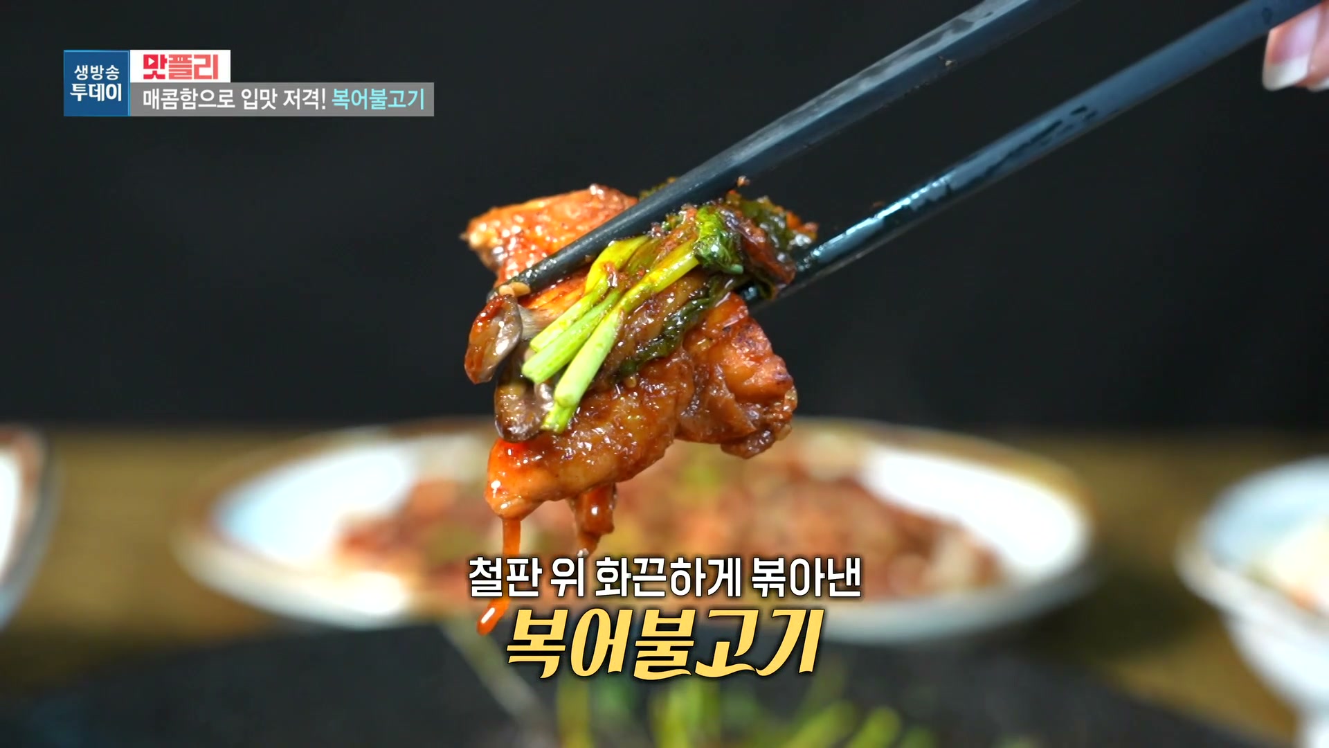모닝와이드 이유있는맛집 복어샤부구이 복어불고기 참복어회 추가 캡처 1