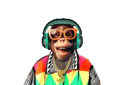 VERT headphones 20287 256.webp