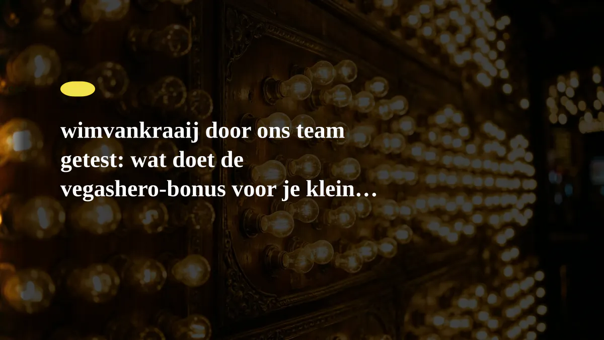 wimvankraaij door ons team getest: wat doet de vegashero-bonus voor je kleine bank