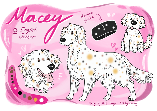 reference sheet.png
