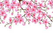 shutterstock 1011607768