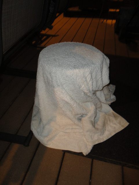 DSC06855.jpg