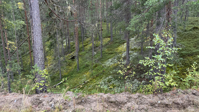 IMG 4958.jpg