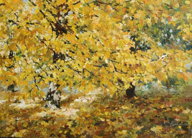 050