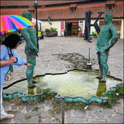 comp IMG 6779