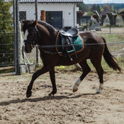 DSC01810