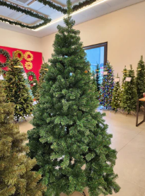 Árvore Tradicional Copacabana