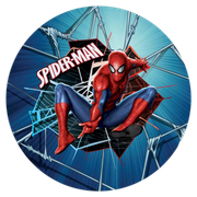 2101605-Homem-Aranha-Ana