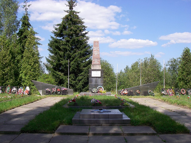 https://i.ibb.co/pB9F5XCT/image.jpg