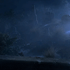 20.gif
