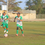 IMG 4964