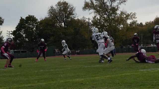 DSC02289.jpg