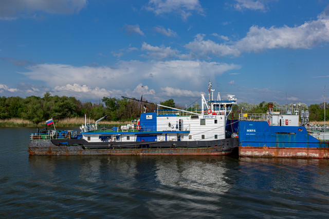 IMG 0535.jpg