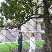 IMG 4265