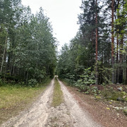 IMG 4974
