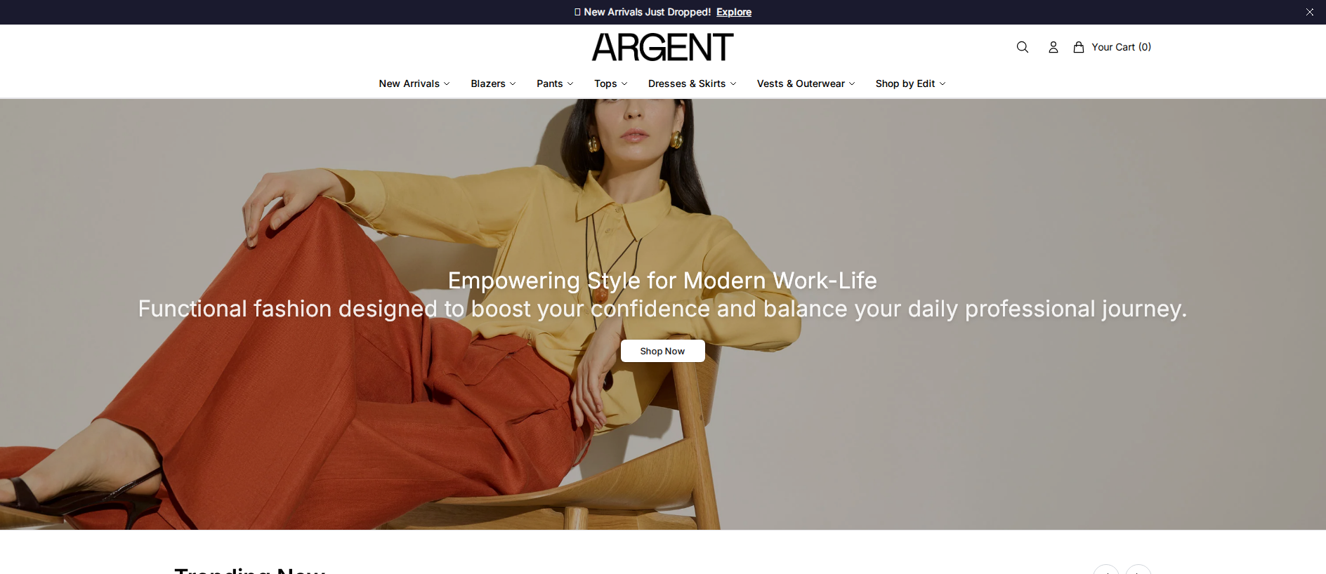 Stored capture of argentwork.shop