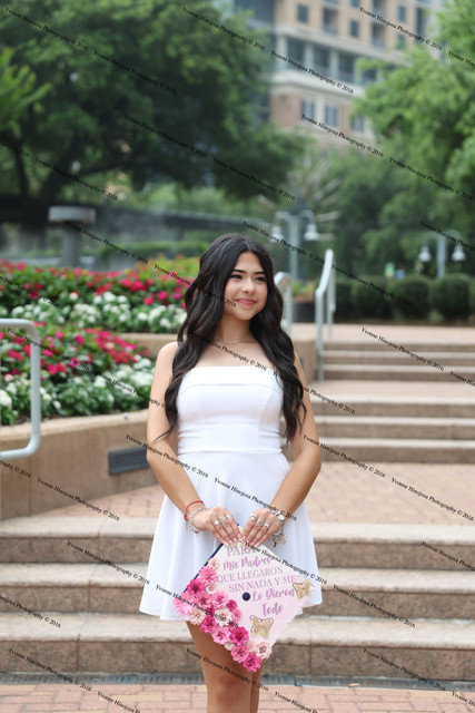 IMG 4387