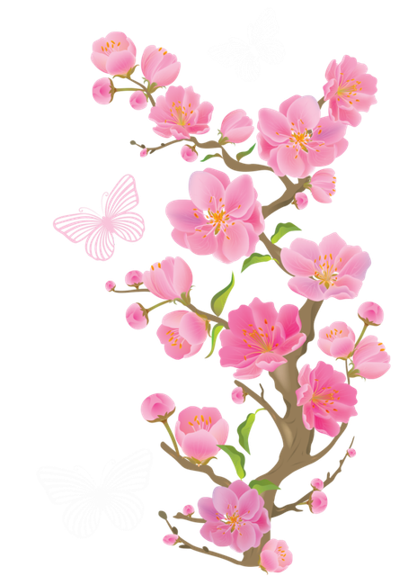pngegg (35).png