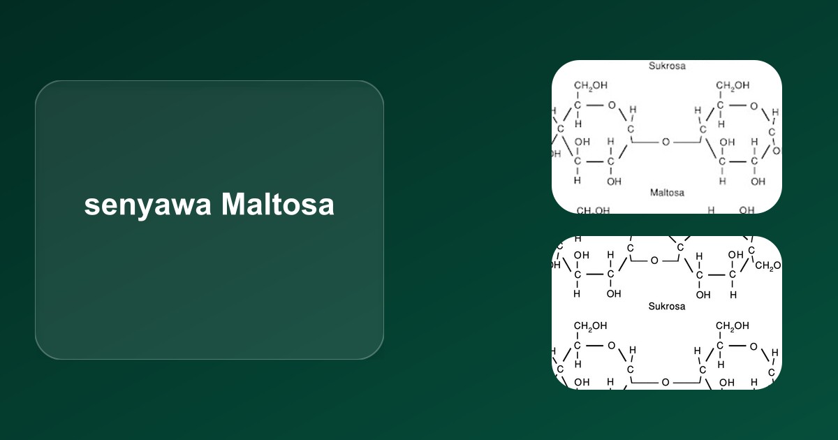 Maltosa: Identitas Molekuler, Klasifikasi Kimia, dan Dampak Lingkungan