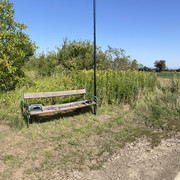 IMG-9349