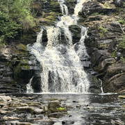 IMG 4452