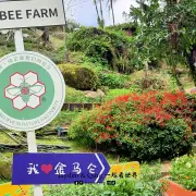 玉蜂谷蜜蜂园10