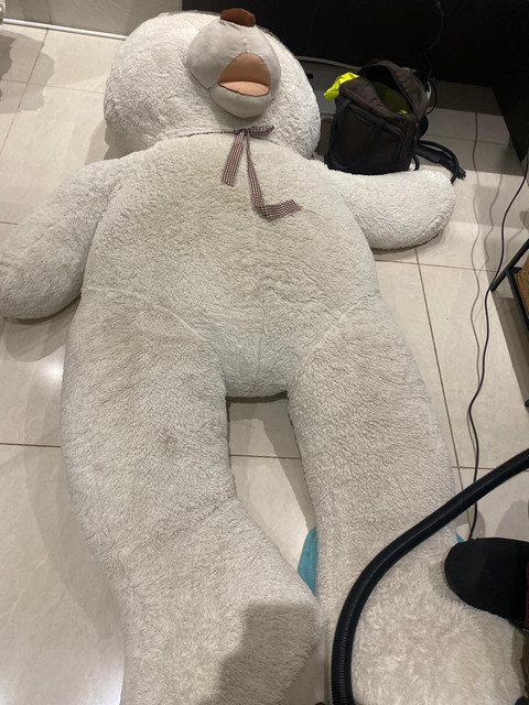 Peluche avant